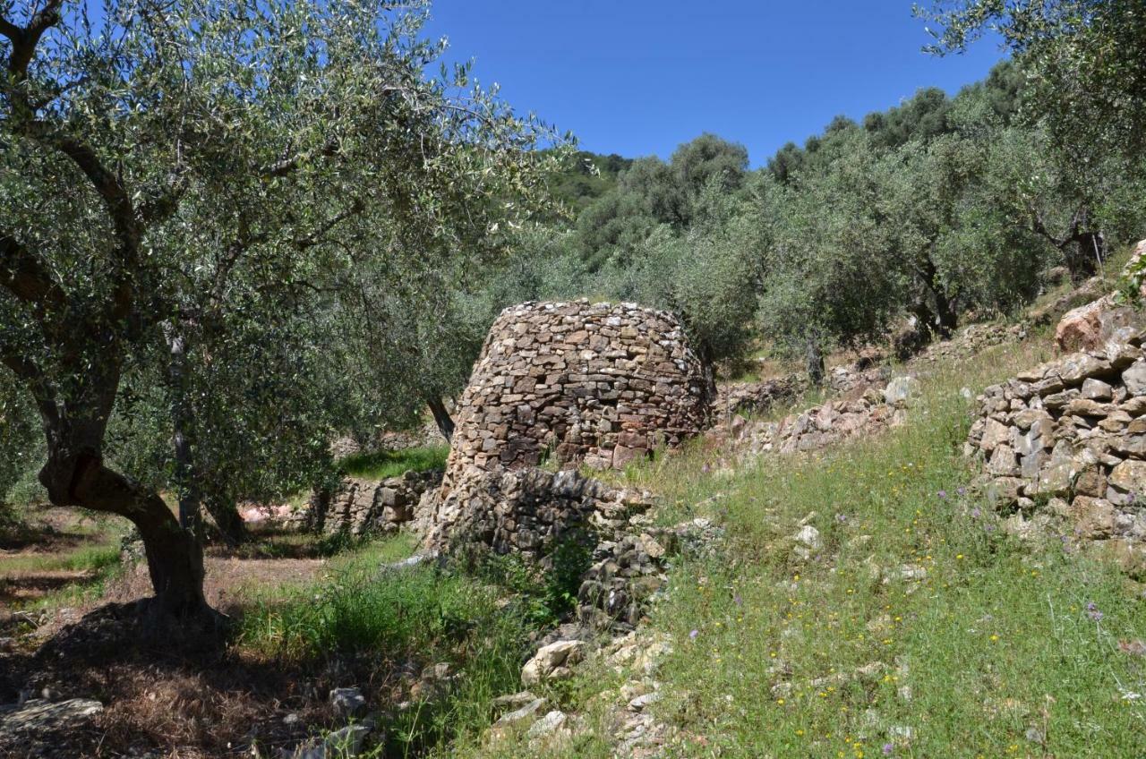Agriturismo La Rocca San Bartolomeo Al Mare Dış mekan fotoğraf